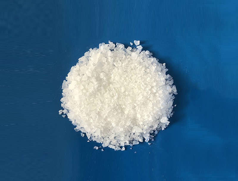 香蕉一区在线观看